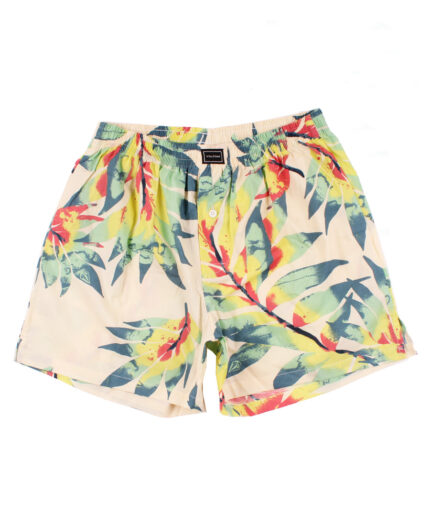 Boxer Volcom Print Wave