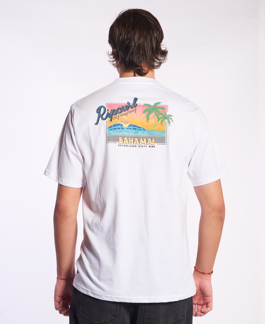 Remera Rip Curl Destination