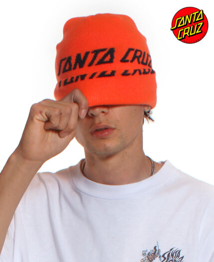 Beanie Santa Cruz Split Strip