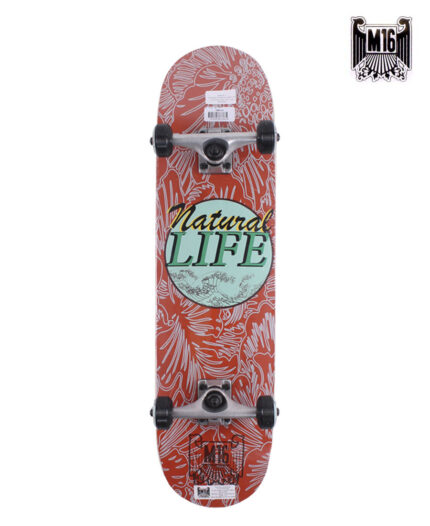 Skate Completo M16