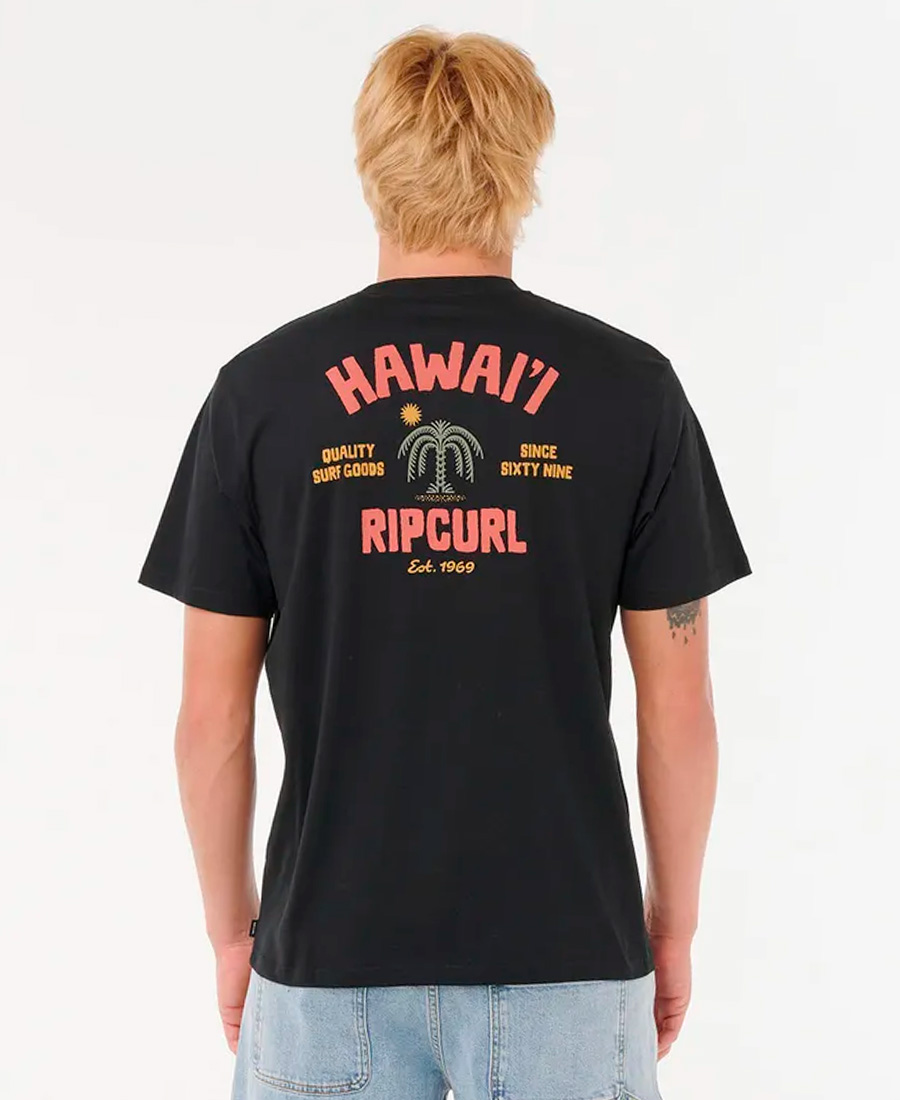 Remera Rip Curl RLX Destination