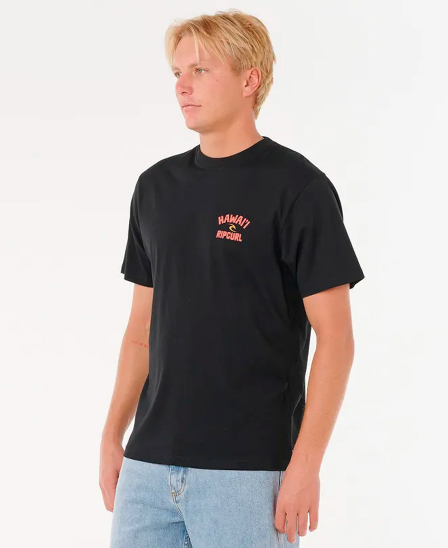 Remera Rip Curl RLX Destination - Imagen 2