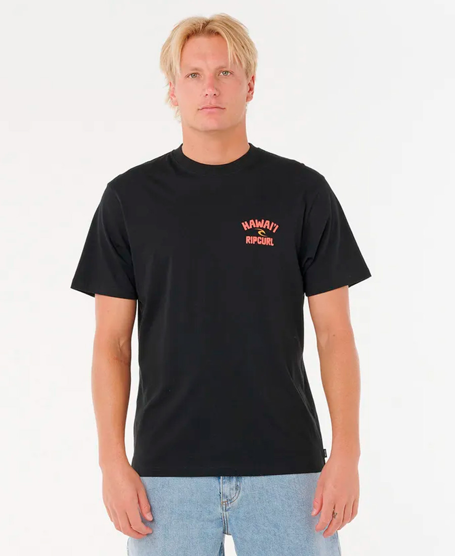 Remera Rip Curl RLX Destination - Imagen 3