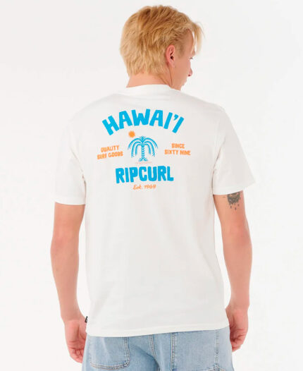 Remera  Rip Curl RLX Destination