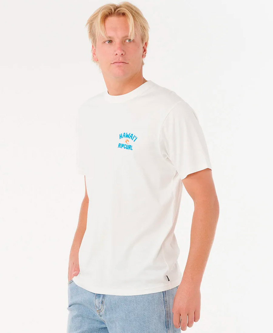 Remera Rip Curl RLX Destination - Imagen 2