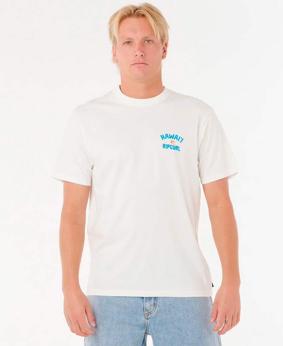 Remera Rip Curl RLX Destination - Imagen 3