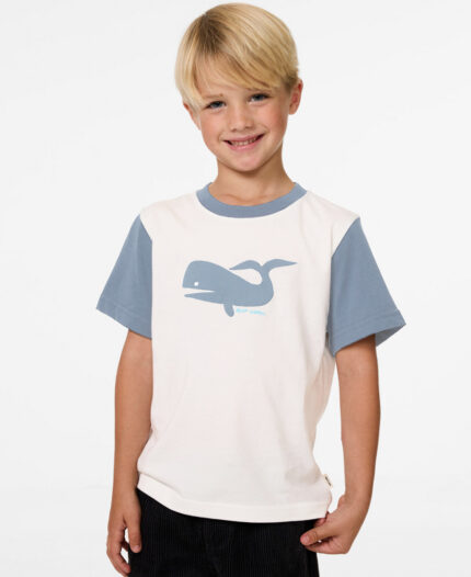 Remera Rip Curl Aots Ty Whale