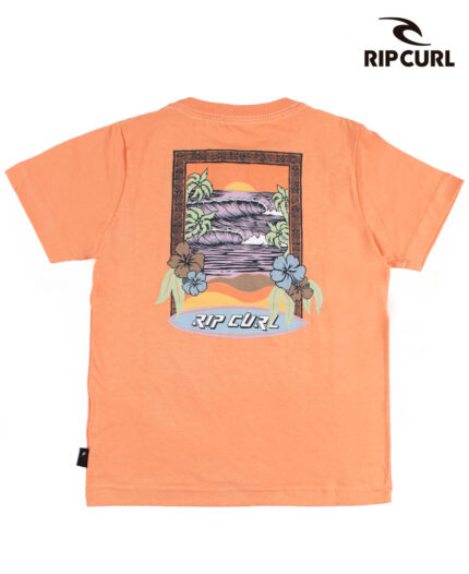 Remera Rip Curl Static Youth Art