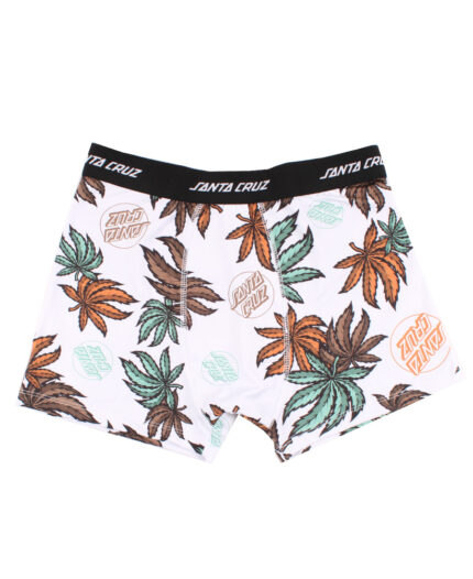 Boxer  Santa Cruz Weed Dot Pattern