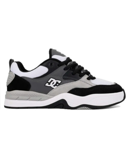 Zapatillas DC Ascend S