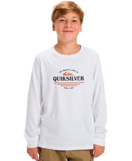 Remera Quiksilver EV Type Line LS