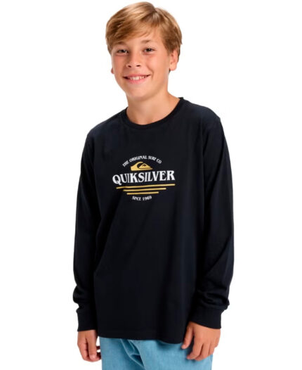 Remera Quiksilver EV Type Line LS