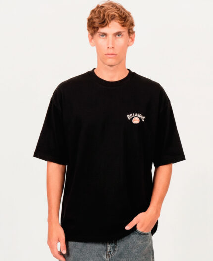 Remera Billabong Bio Arch Og